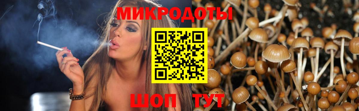 Ржев  Галлюциногенные грибы GOLDEN TEACHER  Псилоцибиновые грибы мухоморы  Вход с VPN 
